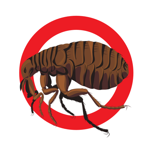 fourmis-souris-cafards